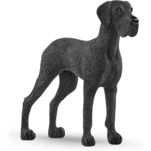 Image of Great Dane