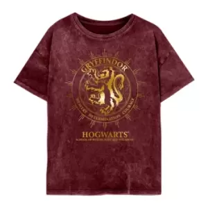 Image of Harry Potter - Gryffindor Constellations (SuperHeroes Inc. Womens Acid Wash T-Shirt) Ex Large