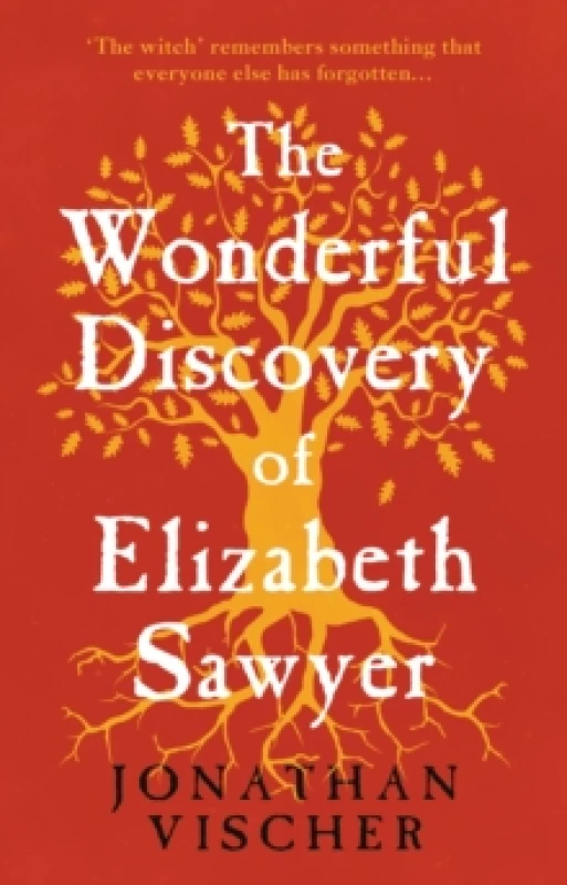 Image of The Wonderful Discovery of Elizabeth Sawyer Paperback / softback