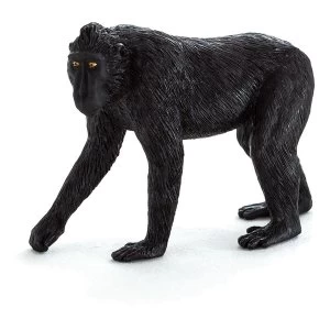 Image of ANIMAL PLANET Wild Life & Woodland Black Crested Macaque Toy Figure