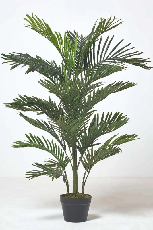 Image of Homescapes Multi Stem Green Palm Tree in Pot, 180cm Green