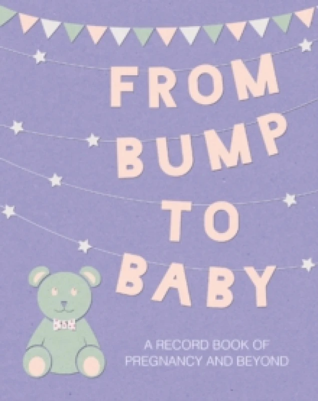 Image of From Bump to Baby : A Record Book of Pregnancy and Beyond Hardback