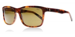 Image of Polo Ralph Lauren PH4099 Sunglasses Brown / Jerry Tortoise 501773 52mm