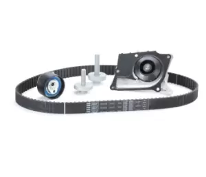 Image of SKF Water Pump + Timing Belt Kit VKMC 06134-3 RENAULT,NISSAN,DACIA,Clio III Schragheck (BR0/1, CR0/1),TWINGO II (CN0_),MEGANE III Grandtour (KZ0/1)
