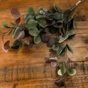 Image of Variegated Eucalyptus Bouquet