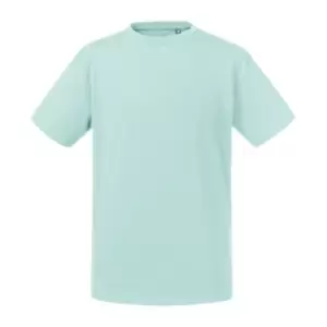 Image of Russell Childrens/Kids Organic Short-Sleeved T-Shirt (5-6 Years) (Aqua Blue)