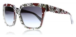 Image of Dolce & Gabbana Enchanted Beauties Sunglasses Carnation White / Havana 29778G 57mm