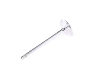 Image of FRECCIA Inlet Valves VW,AUDI,SKODA R6580/SCR 06D109601M,079109601B Intake Valves,Inlet Valve