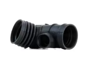 Image of RIDEX Intake Pipe, air filter BMW 1591I0014 13541435625