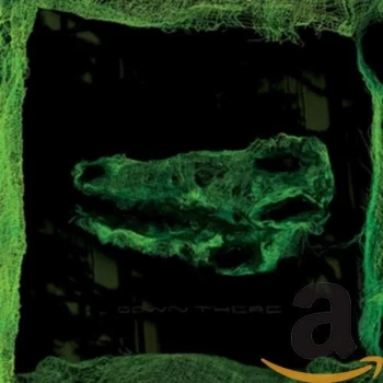 Image of Avey Tare - Down There CD