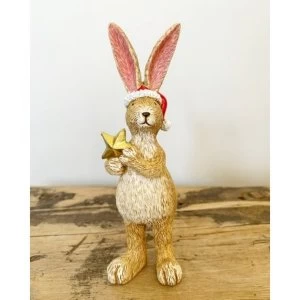 Image of Christmas Rabbit With Star