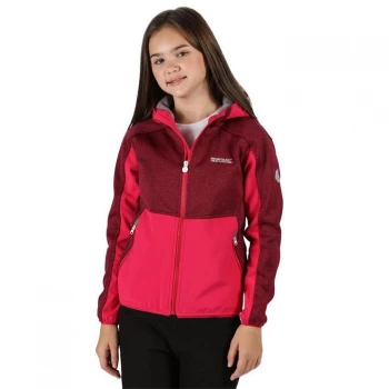 Image of Regatta Bracknell II Soft Shell Jacket - Duchess/Duch