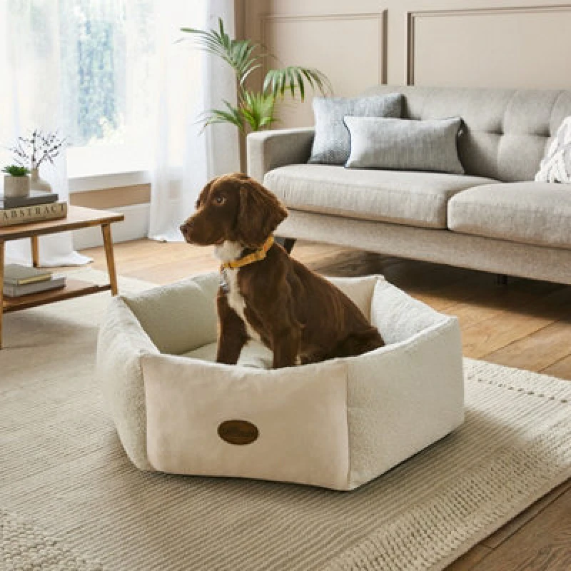 Image of Silentnight Deep Sleep Donut Boucle Pet Bed - Small - Natural - Medium One Colour WFA01 Unisex