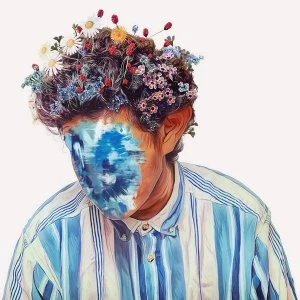 Image of Hobo Johnson - The Rise Of Hobo Johnson Vinyl