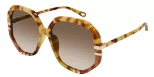 Image of Chloe Sunglasses CH0105S 001