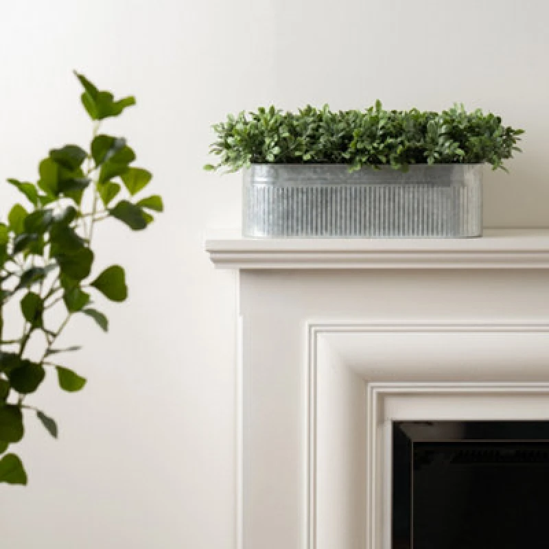 Image of Scottish Everlastings Ltd Boxwood Trough 51 x 23cm, Green SEL1295