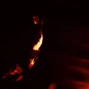 Image of Skepticism - Stormcrowfleet Vinyl