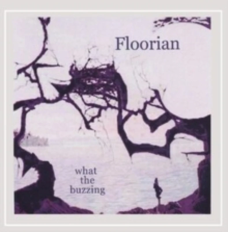 Image of What the buzzing CD / Album