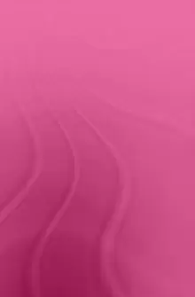 Image of China's Enterprise ReformChanging State/Society Relations After Mao