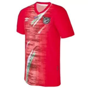 Image of 2021-2022 Namibia Home Shirt