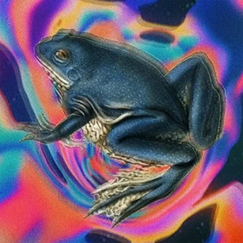 Image of HUNDREDTH - Somewhere Nowhere Vinyl