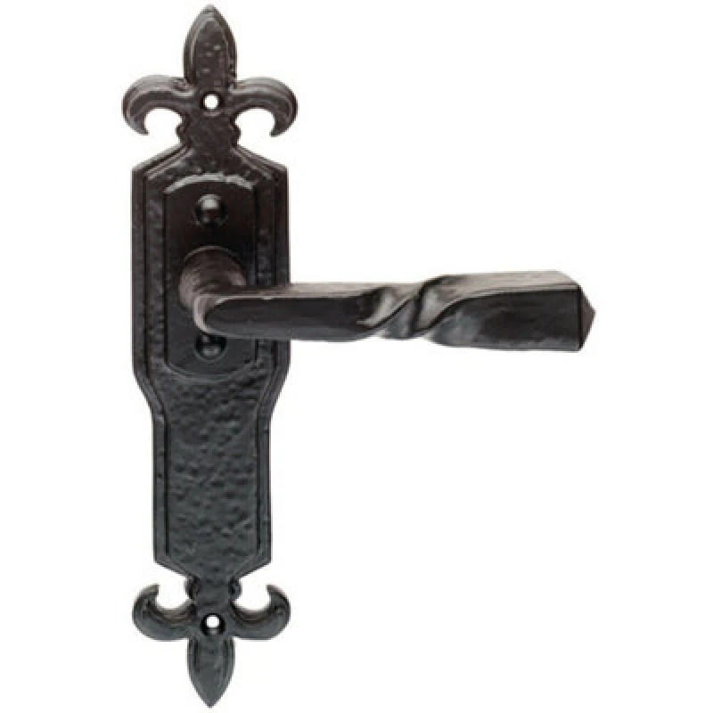 Image of Loops PAIR Forged Twisted Ornate Lever on Latch Backplate 226 x 50mm Black Antique Black