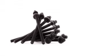 Image of REINZ Cylinder Head Bolt Kit OPEL,FIAT,SAAB 14-32103-01 7173983910x,9041270110x,7173983910x Bolt Kit, cylinder head 7173983910x,60796010x,9041270110x