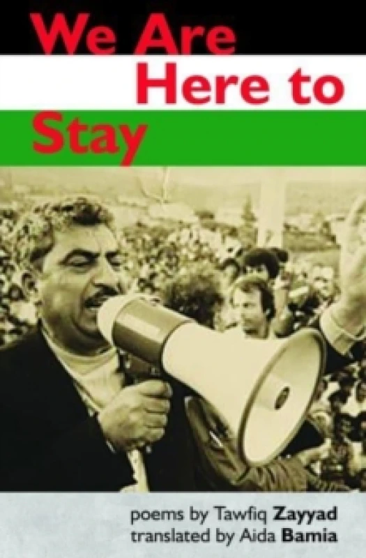 Image of We Are Here to Stay Paperback / softback