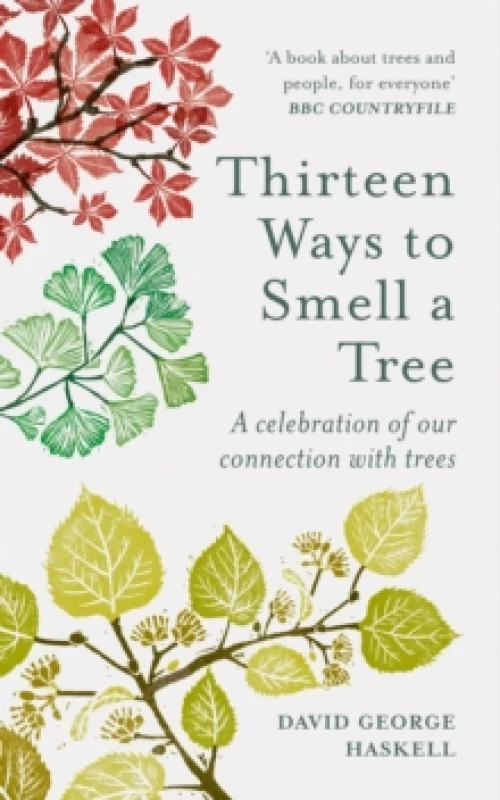 Image of Thirteen Ways to Smell a Tree : A celebration of our connection with trees Paperback / softback