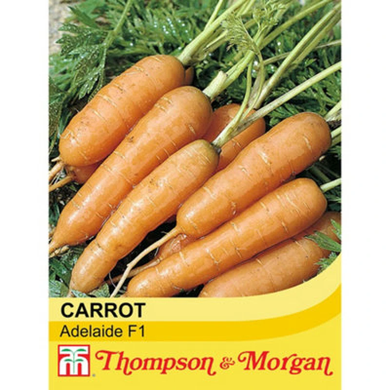 Image of Thompson & Morgan Carrot Adelaide F1 Hybrid 1 Seed Packet (400 Seeds)