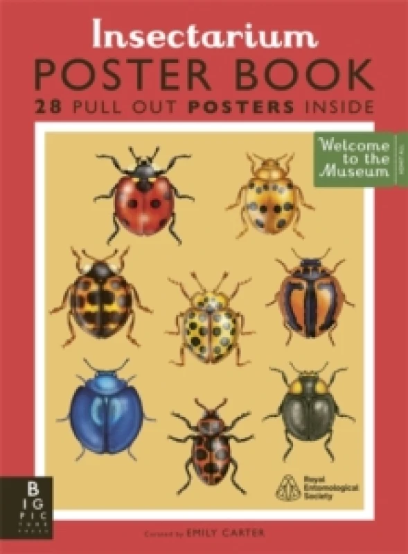 Image of Insectarium Poster Book Paperback / softback