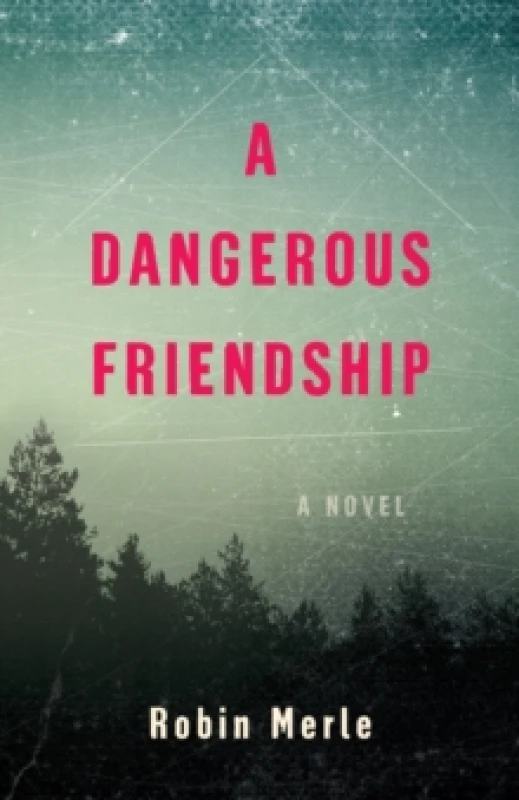 Image of A Dangerous Friendship : A Novel Paperback / softback