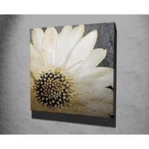 Image of KC165 Multicolor Decorative Canvas Painting