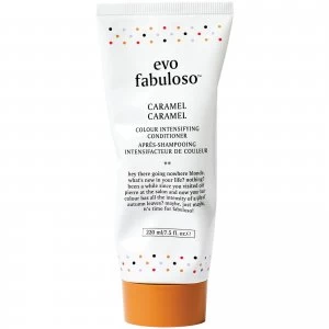 Image of evo Fabuloso Colour Boosting Conditioner/Treatment - Caramel 220ml