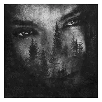 Image of Lustre - The Ashes of Light CD