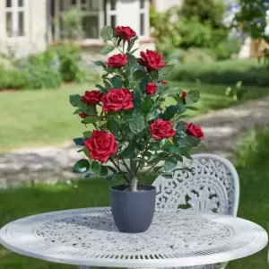 Image of Faux Decor Faux Decor 60cm Regent's Roses - Ruby Red