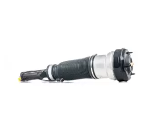 Image of RIDEX Air Spring Strut MERCEDES-BENZ 4118A0004 2203202438,220320243880,2203205113 A2203202438,A220320243880,A2203205113