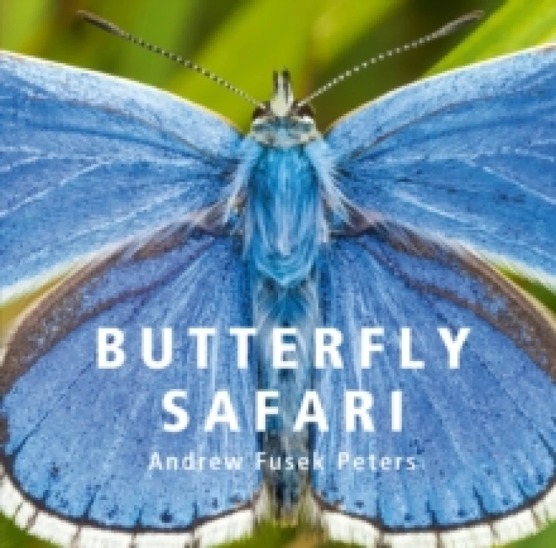 Image of Butterfly Safari Hardback