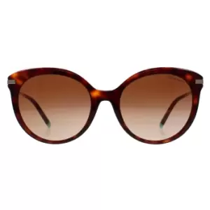 Image of Cat Eye Havana Brown Gradient TF4189