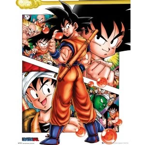 Image of Dragon Ball Collage Mini Poster