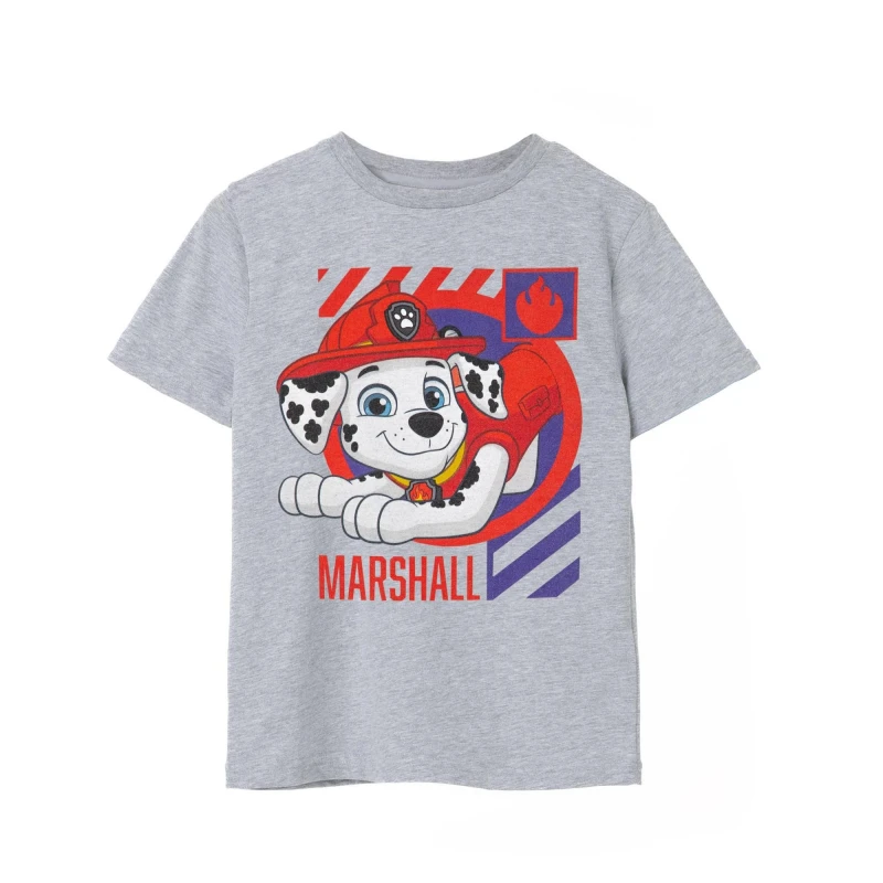 Image of Paw Patrol Short Sleeved T-Shirt Grey male