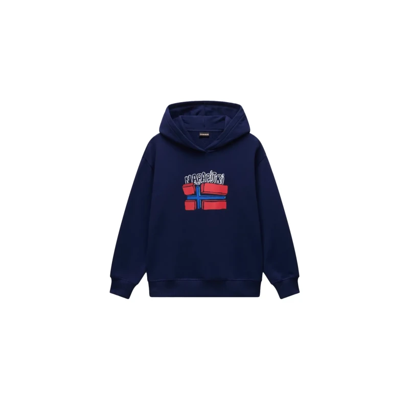 Image of Child hoodie Napapijri Albedo Bleu Unisex 4 ans