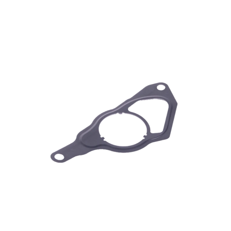 Image of HOFFER 91252 Gaskets Gasket,vacuum pump (666)
