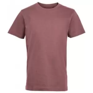 Image of SOLS Childrens/Kids Short-Sleeved T-Shirt (2 Years) (Ancient Pink)