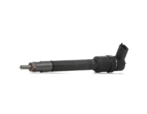 Image of Bosch Injectors VOLVO 0 445 110 251 Fuel Injectors,Injector Nozzle