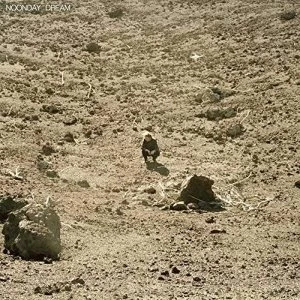 Image of Ben Howard - Noonday Dream Vinyl