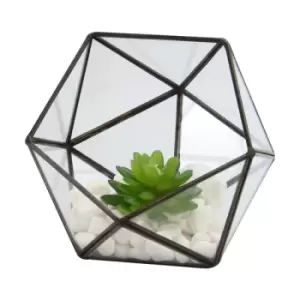 Image of Half Ball Glass Terrarium M&amp;W