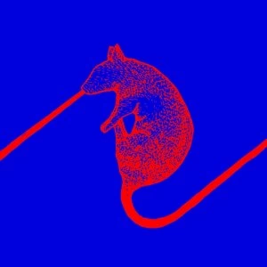 Image of The Dwarfs of East Agouza - Rats Don't Eat Synthesizers Vinyl