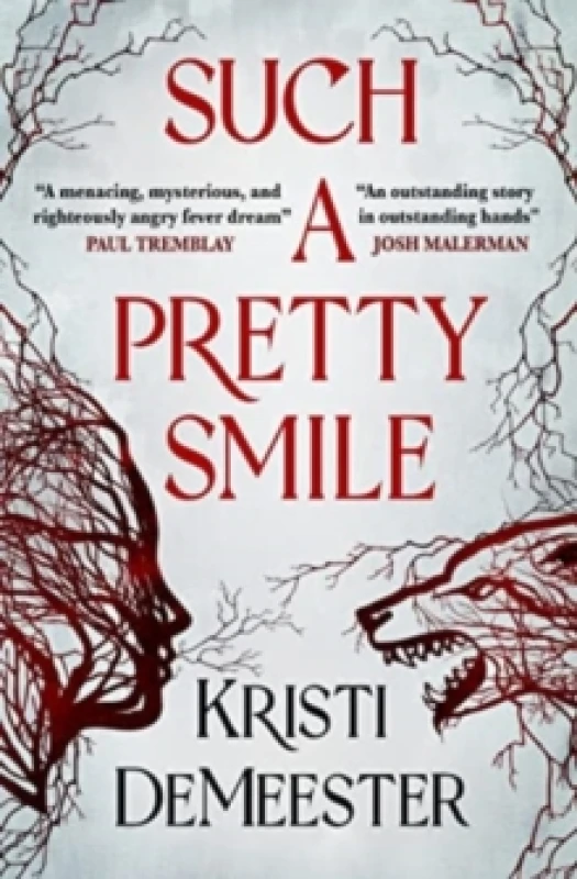 Image of Such a Pretty Smile Paperback / softback