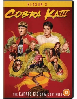 Image of Cobra Kai Season 3 - DVD